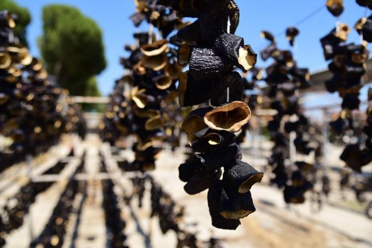 Kuru patlıcanla yapılabilecek en lezzetli tarif Yiyenler bağımlısı oluyor