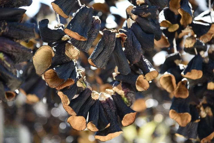 Kuru patlıcanla yapılabilecek en lezzetli tarif Yiyenler bağımlısı oluyor