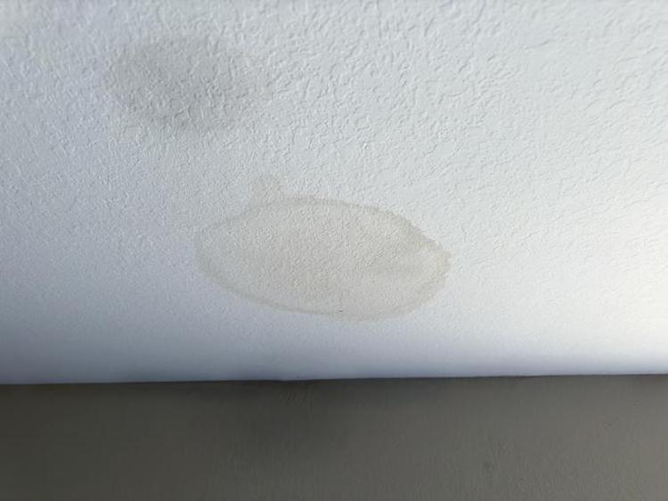 DOĞAL SABUNLU SU (HASSAS BOYALAR İÇİN)