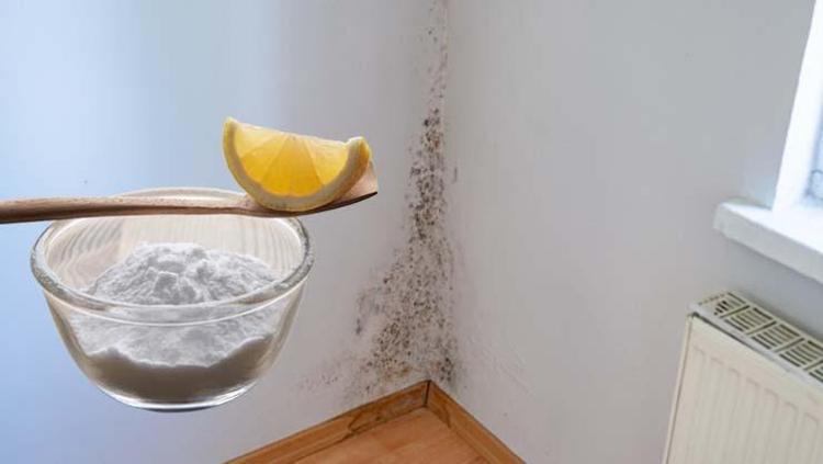 Duvardaki lekeleri saniyeler içinde yok eden karışım Evinizi pırıl pırıl parlatıp duvardaki lekelerin kökünü kazıyor