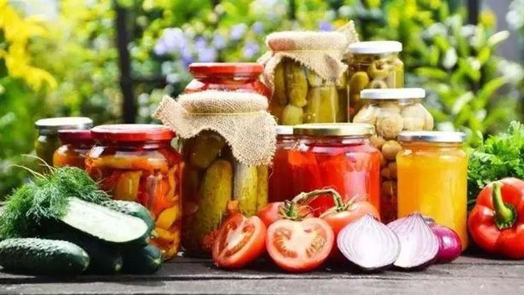 FERMENTE GIDALARLA MİKROBİYOTANIZI ÇEŞİTLENDİRİN