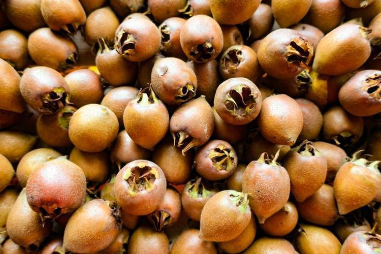 Kilosu 150 TL’ye kadar yükseldi