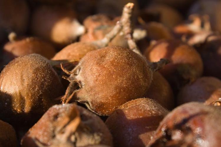 Halk arasında ‘hileci’ diye biliniyor Kilosu 150 TL’ye çıktı: Kışın gizli vitamin bombası