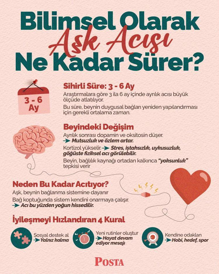 Bilimsel olarak aşk açısı ne kadar sürüyor Kalp kırıklığının biyolojisi
