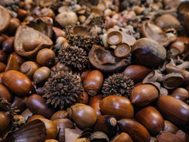 Uzmanlar: Doğru hazırlanırsa gönül rahatlığıyla tüketilebilir