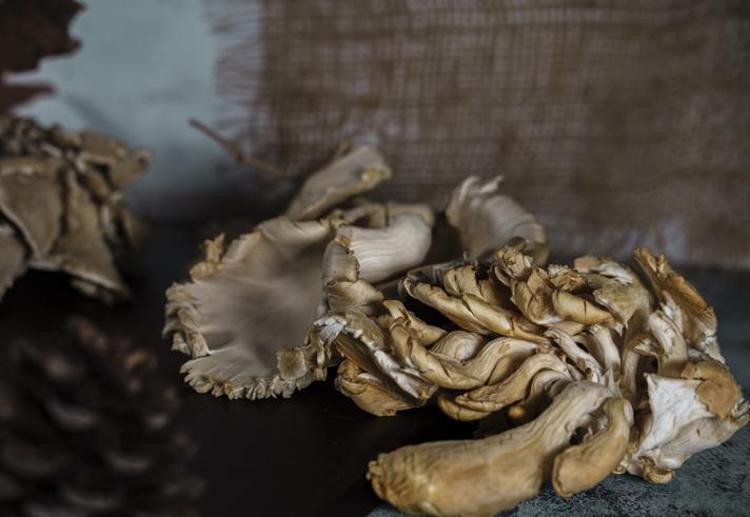 Doğada gördü, şimdi siparişlere yetişemiyor