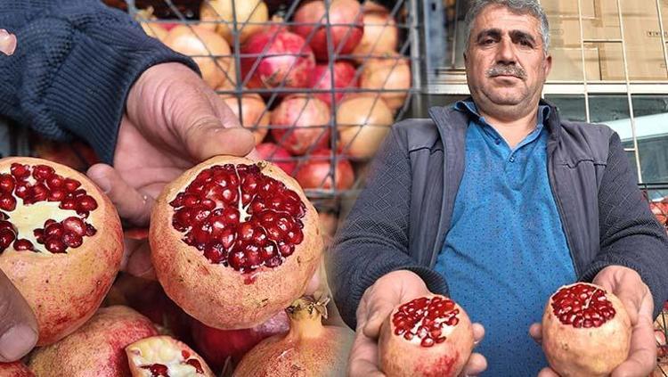 Siirt lezzetini kuraklık vurdu Verim yarı yarıya düştü: Kilosu Doğuda 35 TL ama Batıda iki katına satılıyor