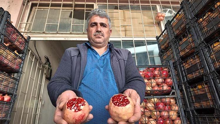 Siirt lezzetini kuraklık vurdu Verim yarı yarıya düştü: Kilosu Doğuda 35 TL ama Batıda iki katına satılıyor
