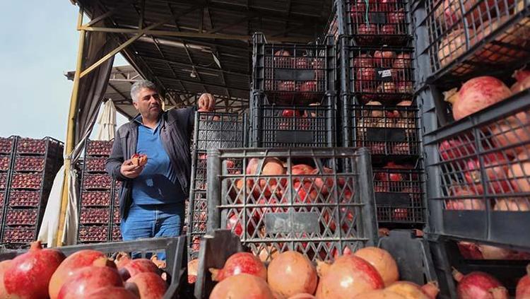 Siirt lezzetini kuraklık vurdu Verim yarı yarıya düştü: Kilosu Doğuda 35 TL ama Batıda iki katına satılıyor