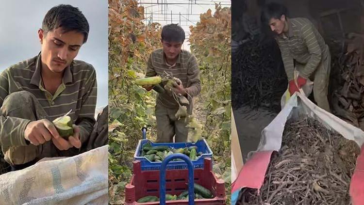 Köy yaşamı gerçekten romantize edildiği gibi mi Yörük Oğlan paylaştı: Fazladan bir saatlik uykunun bedeli...