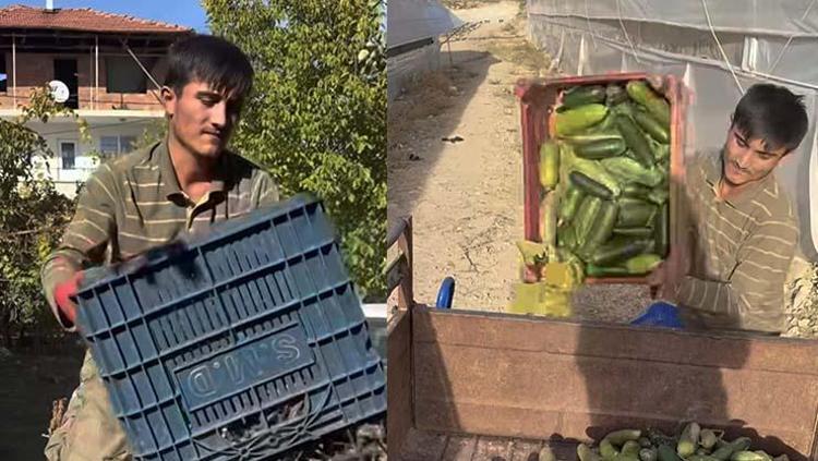 Köy yaşamı gerçekten romantize edildiği gibi mi Yörük Oğlan paylaştı: Fazladan bir saatlik uykunun bedeli...