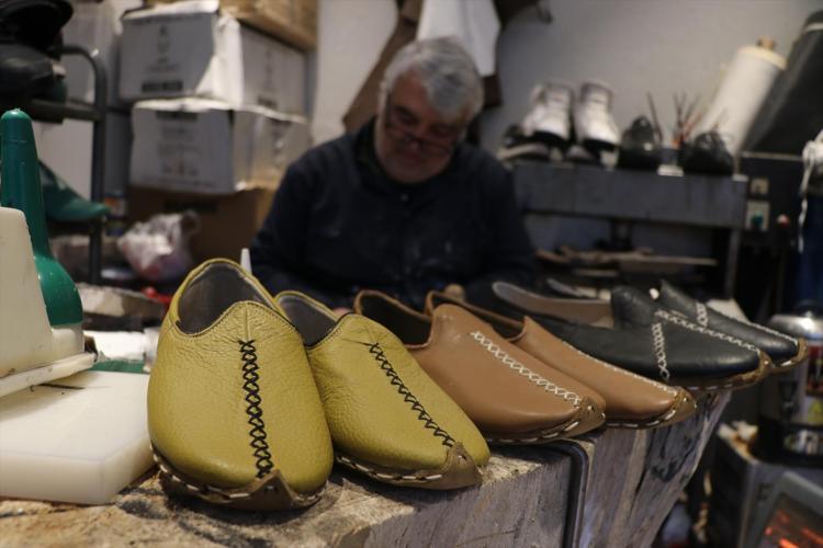 TERLEME, KOKU VE MANTARA NEDEN OLMUYOR