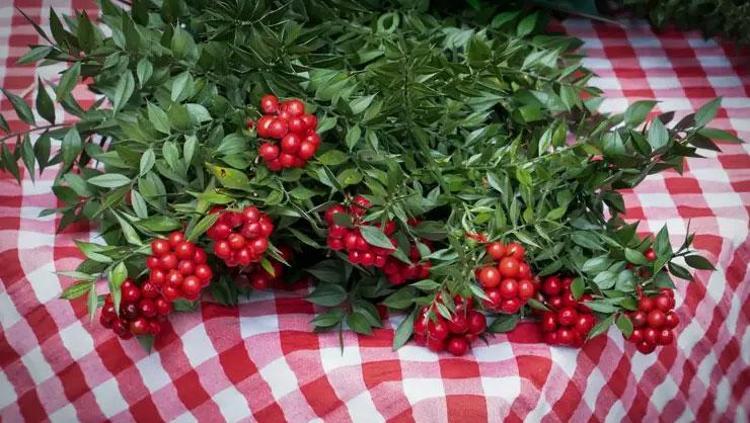 KOKİNA YAKLAŞIK SON 10 YILDIR PİYASADA