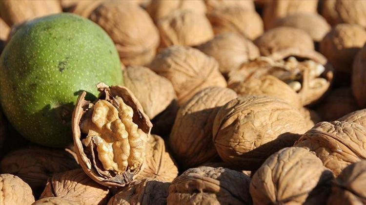 BALIK YEMEYENLER İÇİN EN İYİ OMEGA-3 ALTERNATİFİ