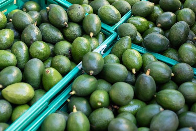 Kalbi kuş gibi hafifleten doğal destek: Yoğurtla karıştırınca etkisi iki katına çıkıyor