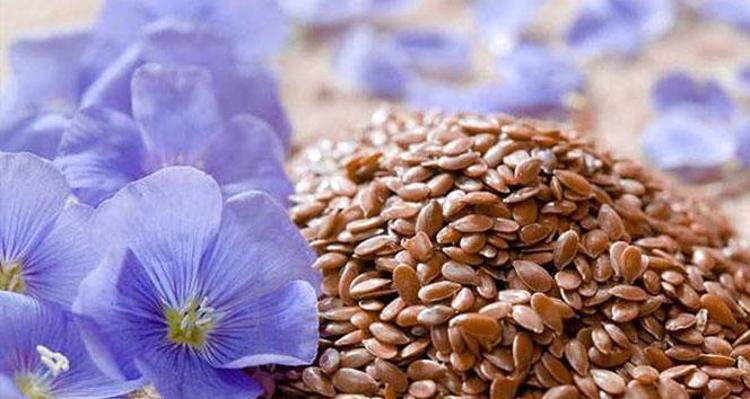 KETEN TOHUMU NASIL TÜKETİLİR