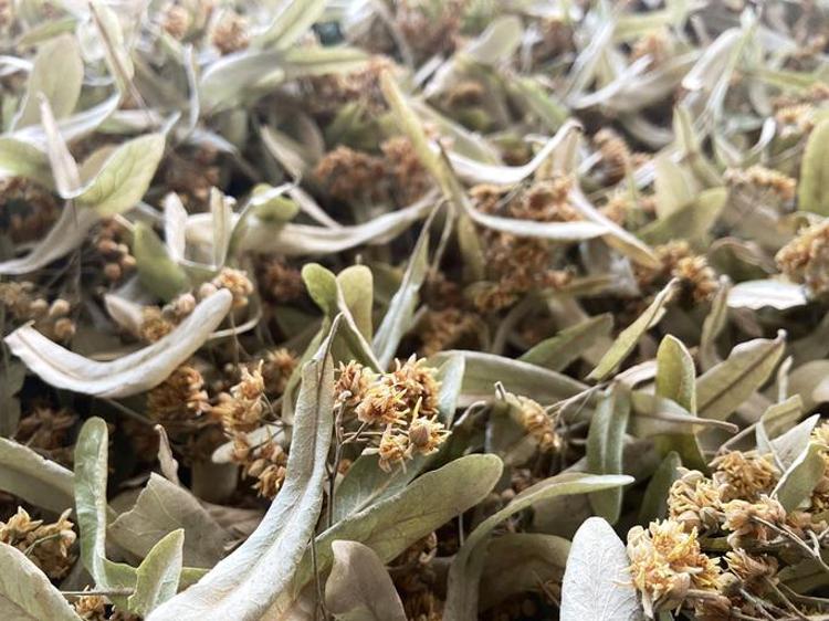 En güvenli seçenek nedir