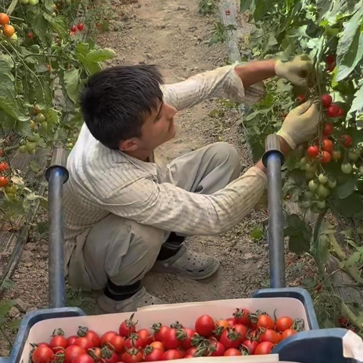 Bir video izledi, hayatı değişti Yörük Oğlandan çarpıcı sözler: Herkes tavuk kümesi gibi doluşmuş