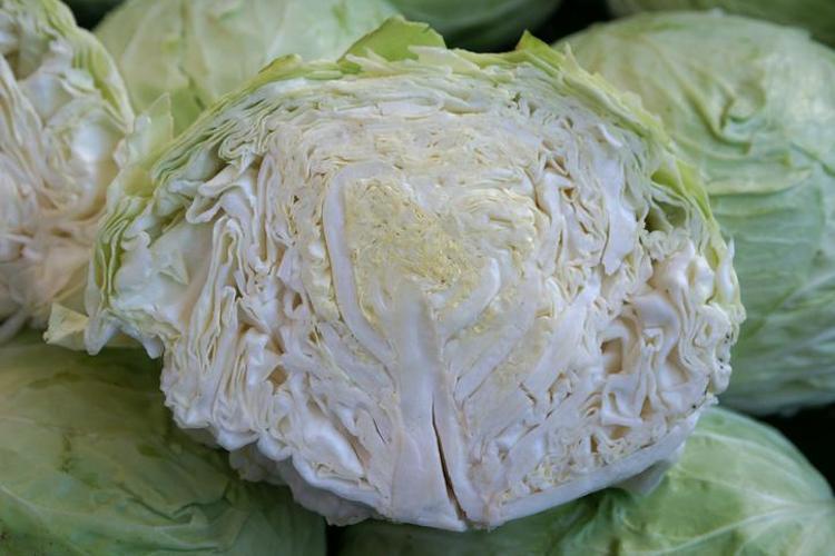 2026nın en popüler besini olacak Bir fincanı kolajen üretimini destekliyor