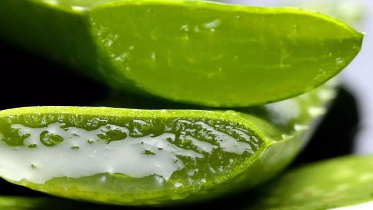 ALOE VERA VE E VİTAMİNİ JELİ