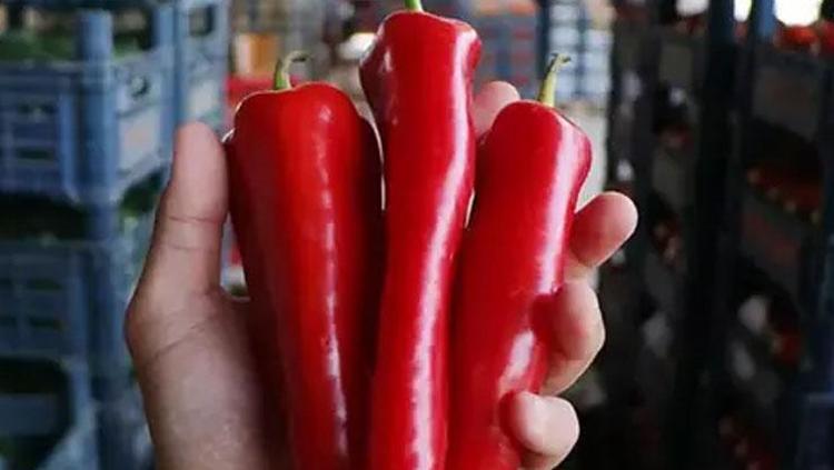 3 besini mutfağınızdan çıkarmayın Vücutta ne hastalık bırakıyor ne enfeksiyon