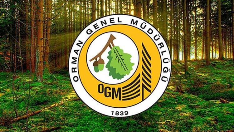 OGM PERSONEL ALIMI SONUÇLARI AÇIKLANDI MI OGM 496 SÖZLEŞMELİ PERSONEL ALIM SONUÇLARI NE ZAMAN AÇIKLANACAK SORGULAMA EKRANI AÇILDI MI