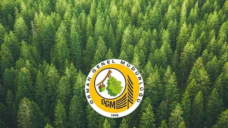 OGM PERSONEL ALIMI SONUÇLARI AÇIKLANDI MI OGM 496 SÖZLEŞMELİ PERSONEL ALIM SONUÇLARI NE ZAMAN AÇIKLANACAK SORGULAMA EKRANI AÇILDI MI