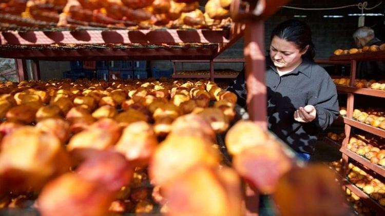 Köyde her şeyi bırakıp bu işe yöneldiler: Türkiye’nin dört bir yanından sipariş yağıyor