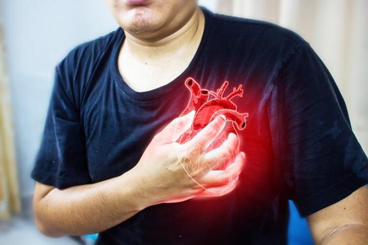Kalbin esrarengiz yolculuğu Binlerce yıllık sır nasıl doğdu