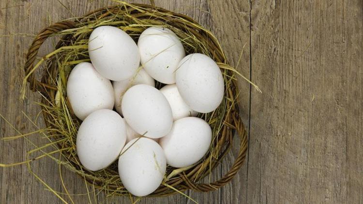 Kaktüse bile çiçek açtırıyor Toprağa 1 parça eklemek yeterli
