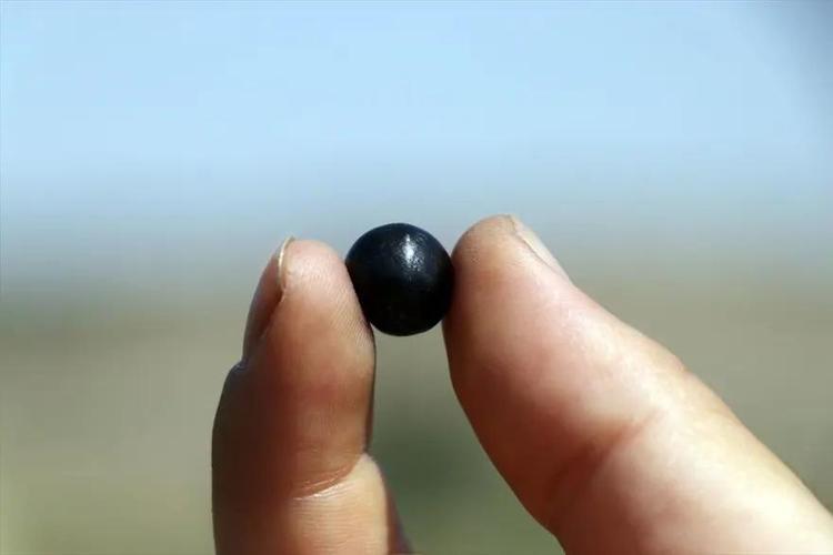 KEMOTERAPİNİN TAHRİBATINA KARŞI DOĞAL KALKAN