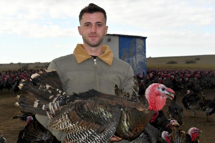 Tekirdağ’da satış rekoru kırıyor Yılbaşı hindisi seçmenin püf noktası buymuş