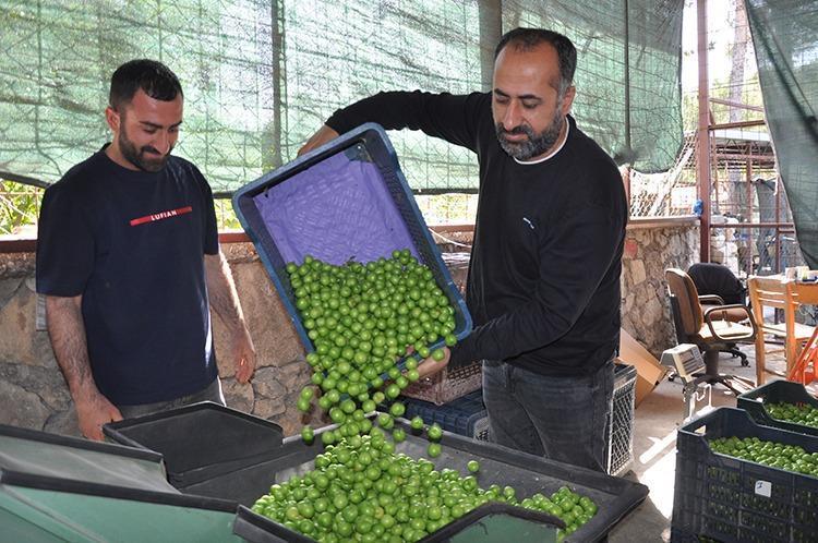 AŞEREN HAMİLELERİN UMUDU OLDU