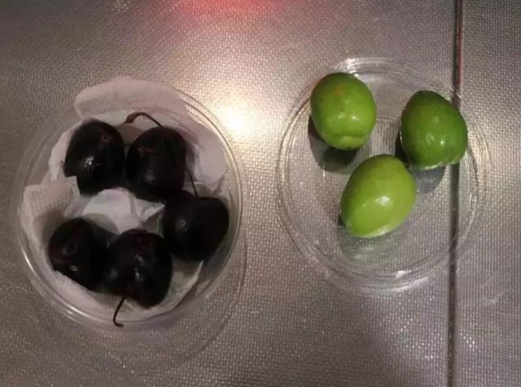 TADINA BAKMAK BİLE LÜKS