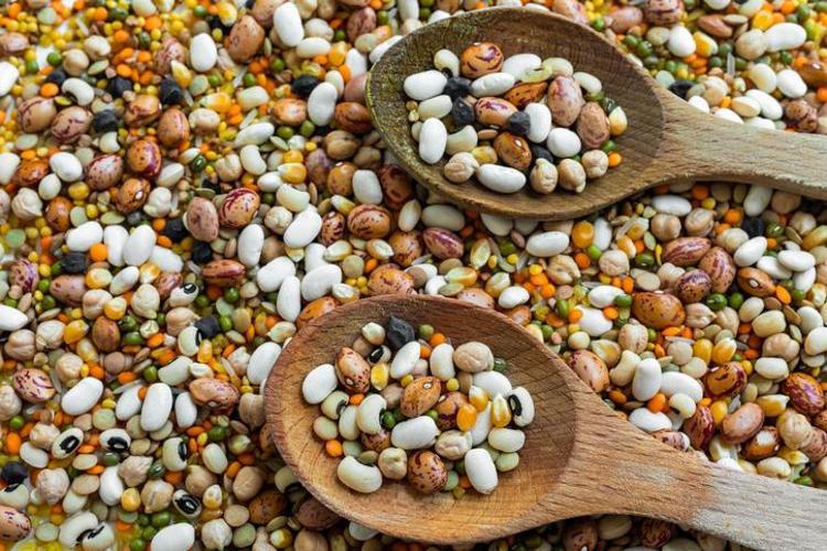 OMEGA-3 DEPOSU BALIKLAR KAN AKIŞINI DÜZENLİYOR