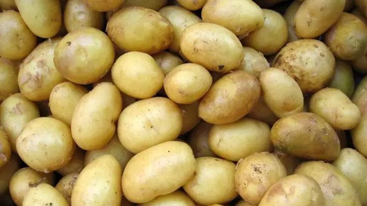 Ne pahalı serumlar ne de kremler Işıltılı cildin sırrı bambaşkaymış: Kolajen etkisi gösteriyor
