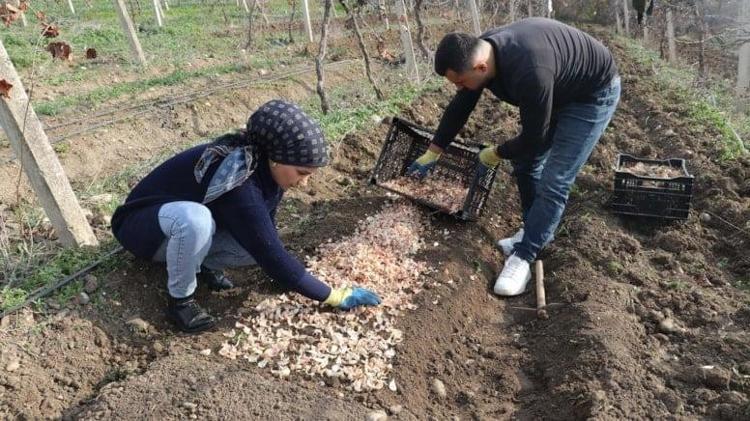 ZARARDAN DÖNÜP KOKUSUNA AŞIK OLDUĞU İŞİ KURDU