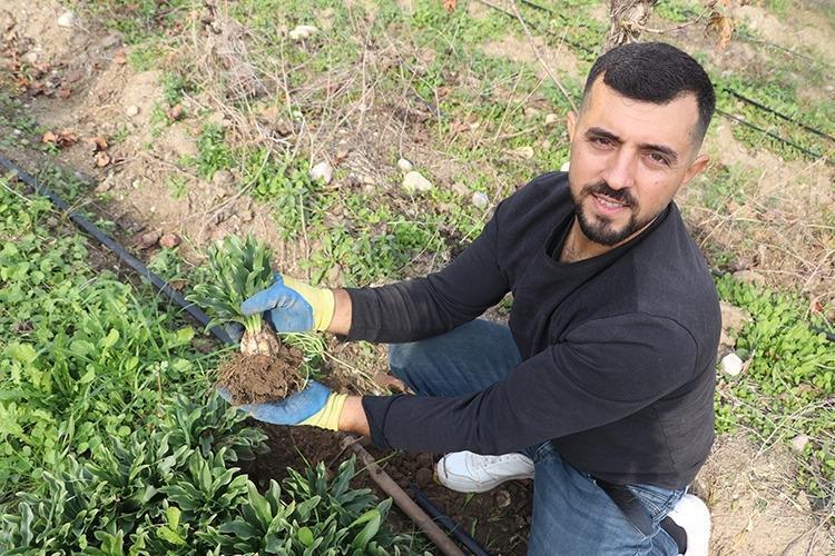 Herkesin önünden geçtiği toprak servet kapısı oldu: Topraktan çıkardığı Beyaz altınla taleplere yetişemiyor