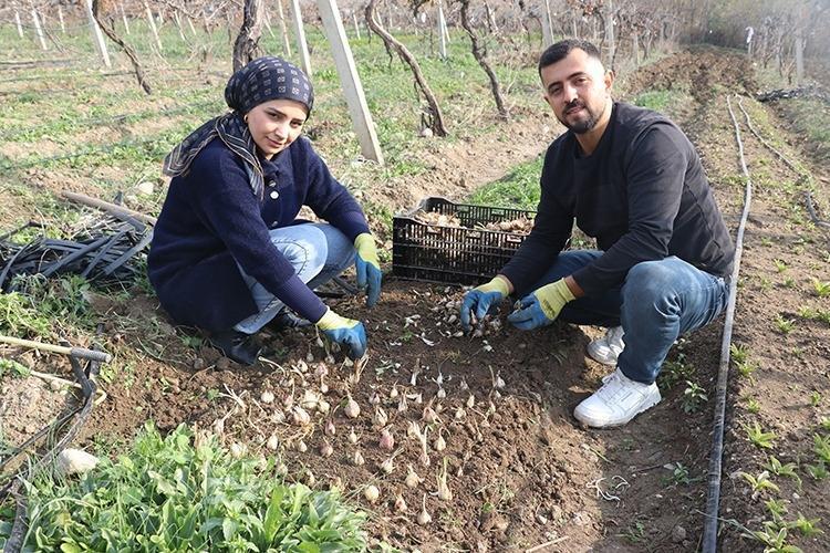 Herkesin önünden geçtiği toprak servet kapısı oldu: Topraktan çıkardığı Beyaz altınla taleplere yetişemiyor