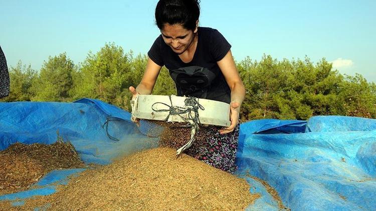 SUSAM NASIL TÜKETİLMELİ