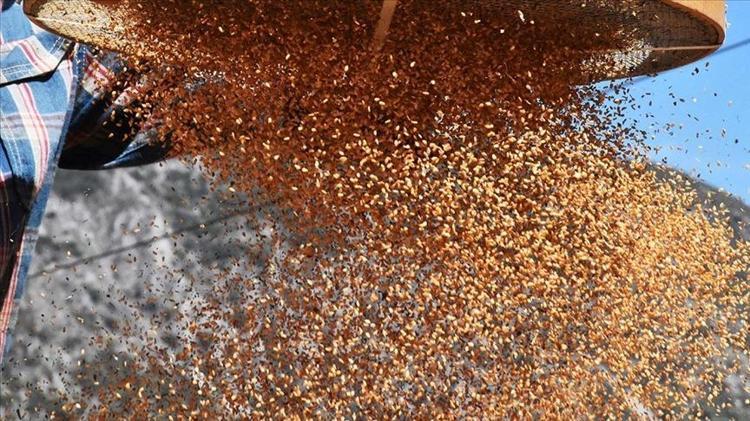 KALP VE DAMAR SAĞLIĞINI KORUYOR