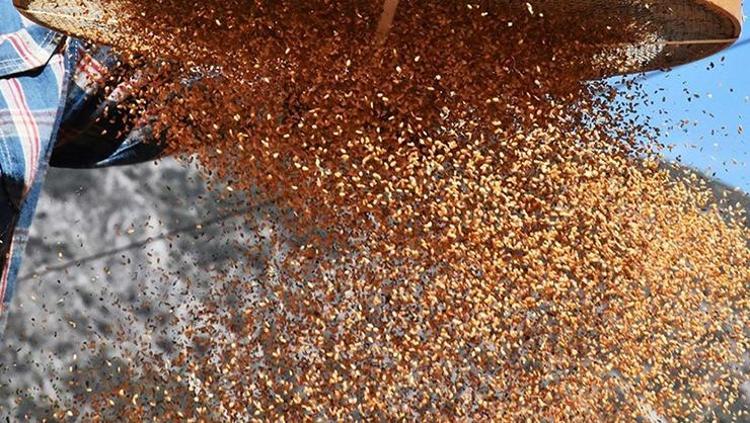 Badem sütünden 10 kat faydalı Kemik erimesinin çaresi, kolesterolü sıfırlıyor