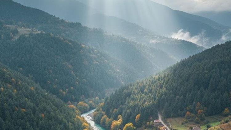 Türkiyenin en garip köyü Yarısı Gürcistanda yarısı Türkiyede yaşıyor