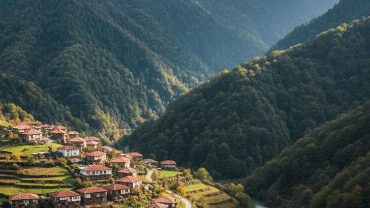 Türkiyenin en garip köyü Yarısı Gürcistanda yarısı Türkiyede yaşıyor