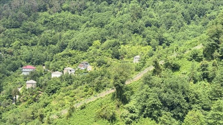 Türkiyenin en garip köyü Yarısı Gürcistanda yarısı Türkiyede yaşıyor