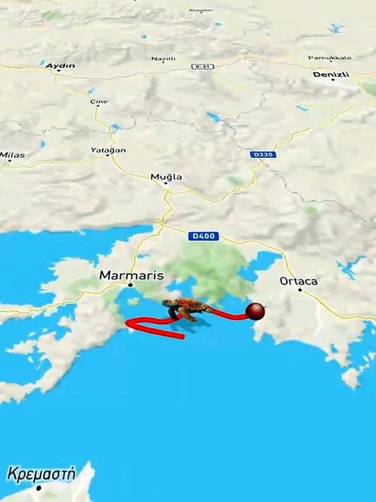 HANGİ ROTALARI TERCİH ETTİKLERİ GÖRÜLÜYOR