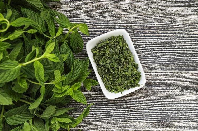 Yemekseverlere özel genel kültür testi Cevapları sadece gerçek yemek tutkunları bulabiliyor