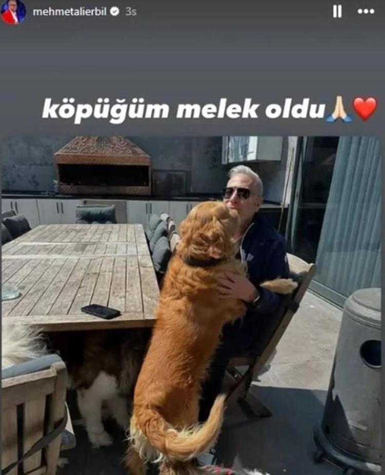 KÖPÜKÜM MELEK OLDU