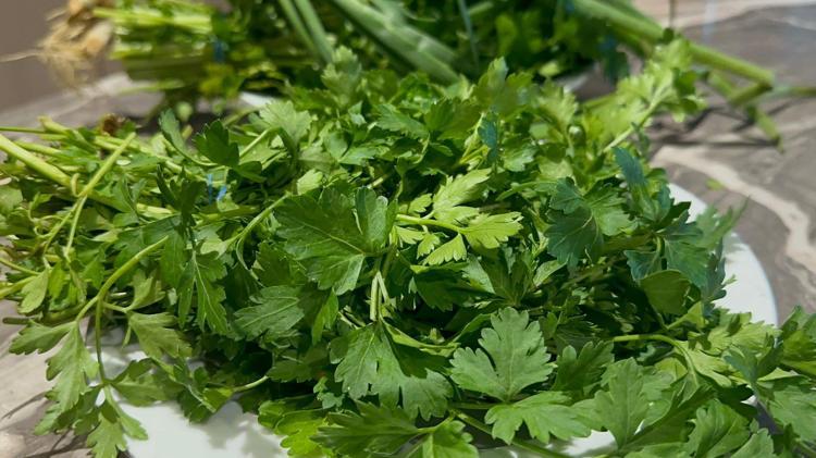 C vitamini içeriği limonu portakalı 2ye katlıyor Meğer gribe kalkan olan oymuş...