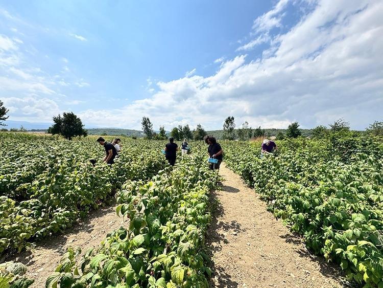METREKARE BAŞINA YÜKSEK KAZANÇ: ÇİFTÇİNİN YENİ UMUDU